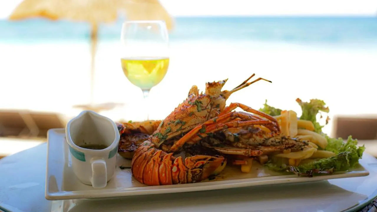 Hotel Villa Las Estrellas Tulum - Located At The Party Zone